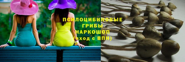 эйфоретик Армянск