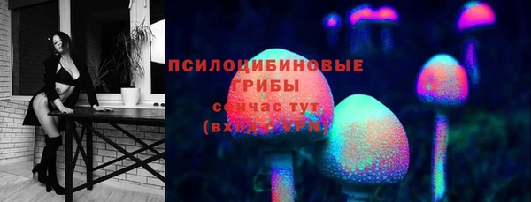 мет Арсеньев
