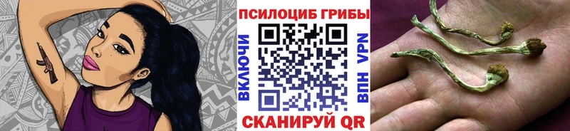 Галлюциногенные грибы прущие грибы  Купить закладки  Тамбов 